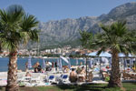 luxury apartments makarska private accommodation