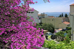 Apartments in der Nähe des Strand in Makarska