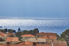 Apartments for rent in Makarska - Apartments Džajić