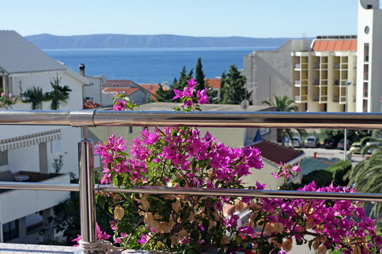 Ferienwohnungen Makarska - Ferienwohnungen in Strandnähe - Ferienwohnung Ružica