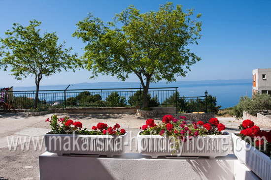 Makarska Croatia-cheap apartment for rent-Apartman Turina A2